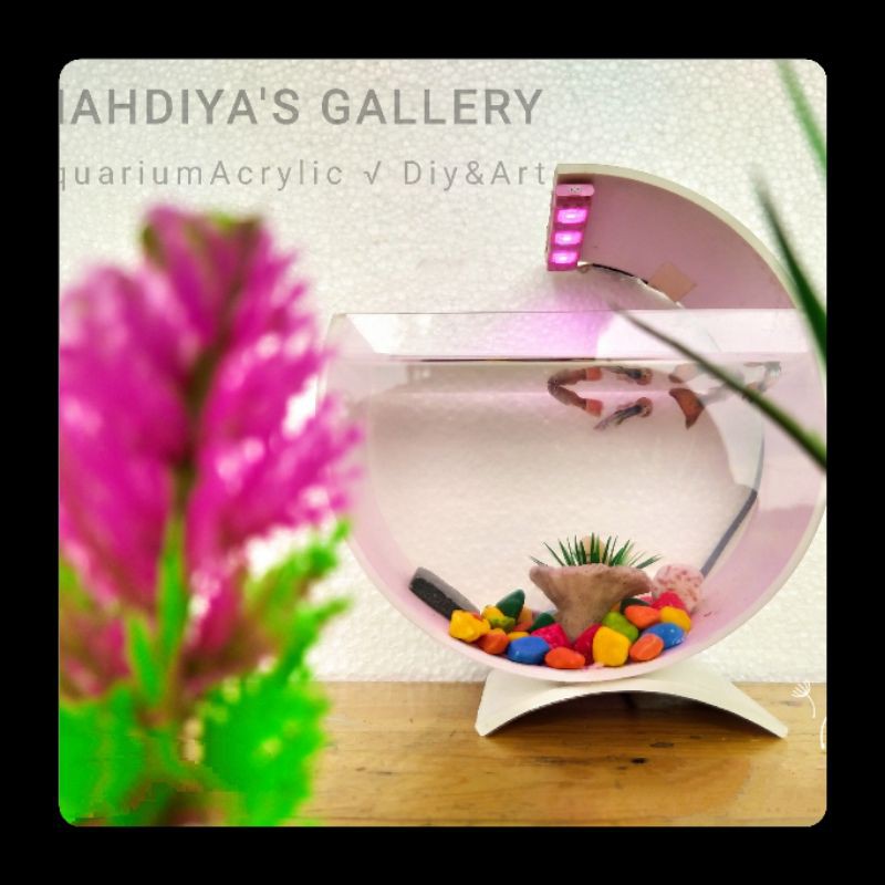 Aquarium Bulat Akrilik