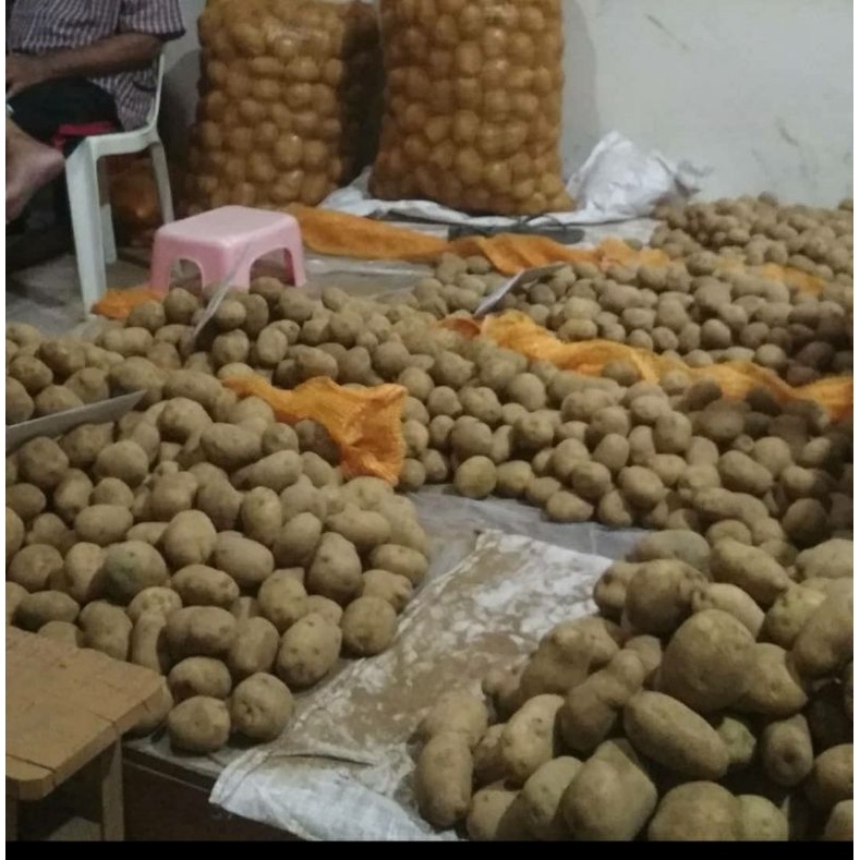 

Kentang Dieng Area Serang Banten 1 Kg