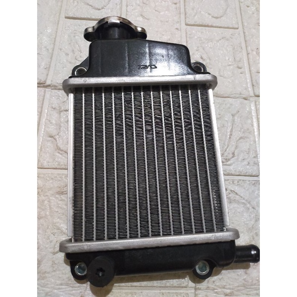 radiator assy vario 110 karbu