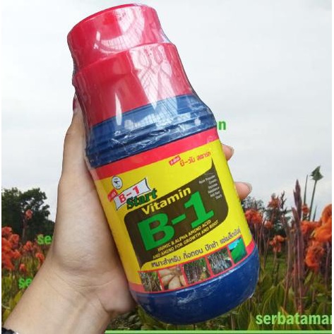 PROMO Vitamin B1 Tanaman Thailand 500ml / Vitamin Tanaman