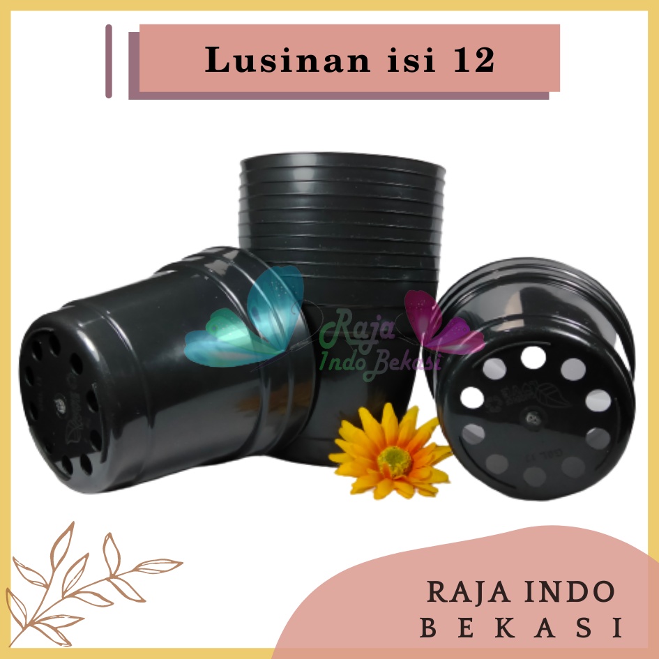 Rajaindobekasi Lusinan Pot 12 Cm Hitam Polos - Pot 12 Hitam Kecil Mini Minimalis Plastik Kaktus Sukulen Mini Murah Pot Bibit Pembibitan - Pot 12 Cm Grosir Lusinan