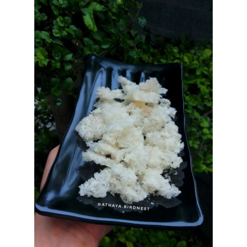 

sarang burung walet premium kering 100 gr