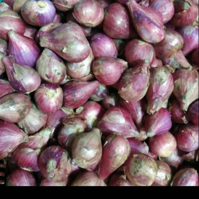 

Bawang merah super
