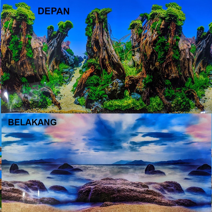 Background Aquarium 50Cm / Gambar Belakang Aquarium Tinggi 50Cm