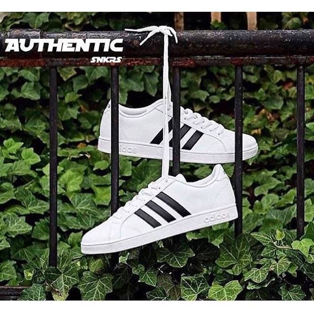 Adidas Neo Baseline White