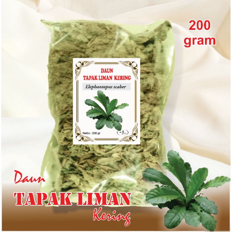 

daun tapak liman/daun tapak liman kering/Elephantopus Scaber L. 200 gram