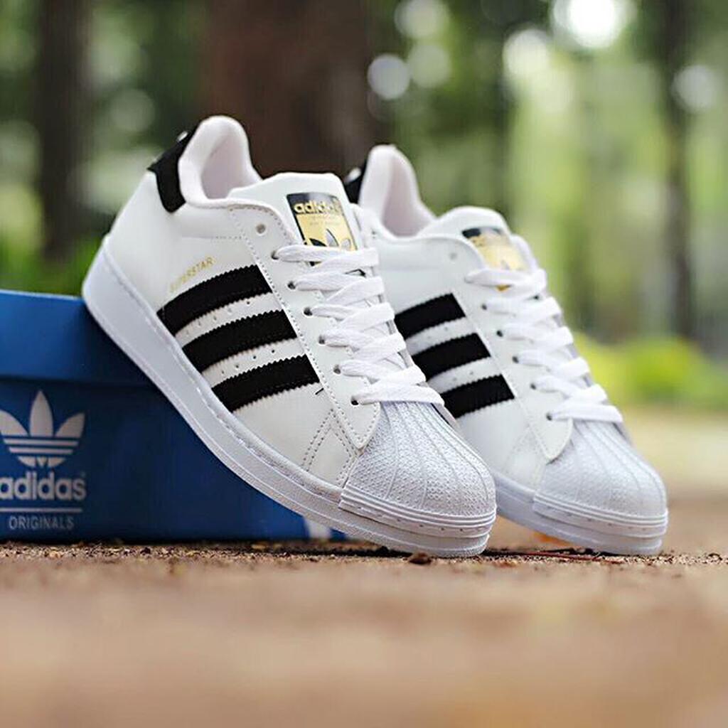 jual adidas superstar