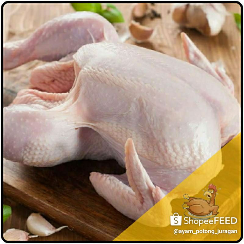 Jual Ayam Karkas 05 06 07 08 1kg Pemotongan Baru Ayam Potong