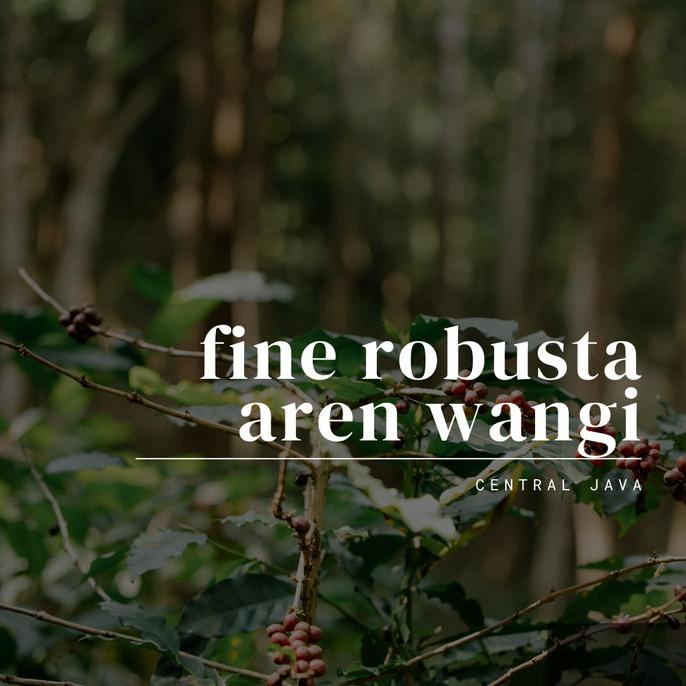 

Robusta Aren Wangi Roasted Bean Fine Robusta by Berdikari Coffee 1Kg