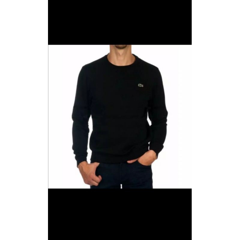sweater rajut pria lacoste