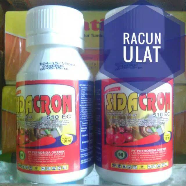 Insektisida Sidacron 510 ec 100 ml / insektisida pembasmi ulat