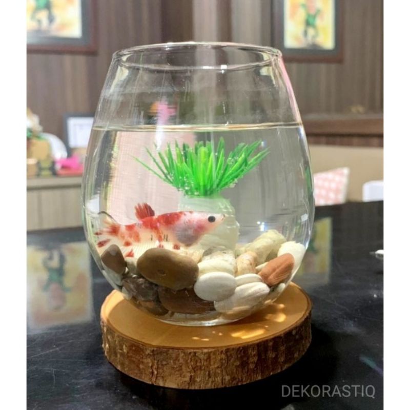 (1  PAKET) AQUARIUM MINI IKAN CUPANG TUSKANI / AQUARIUM BULAT AESTHETIC / VAS IKAN KECIL