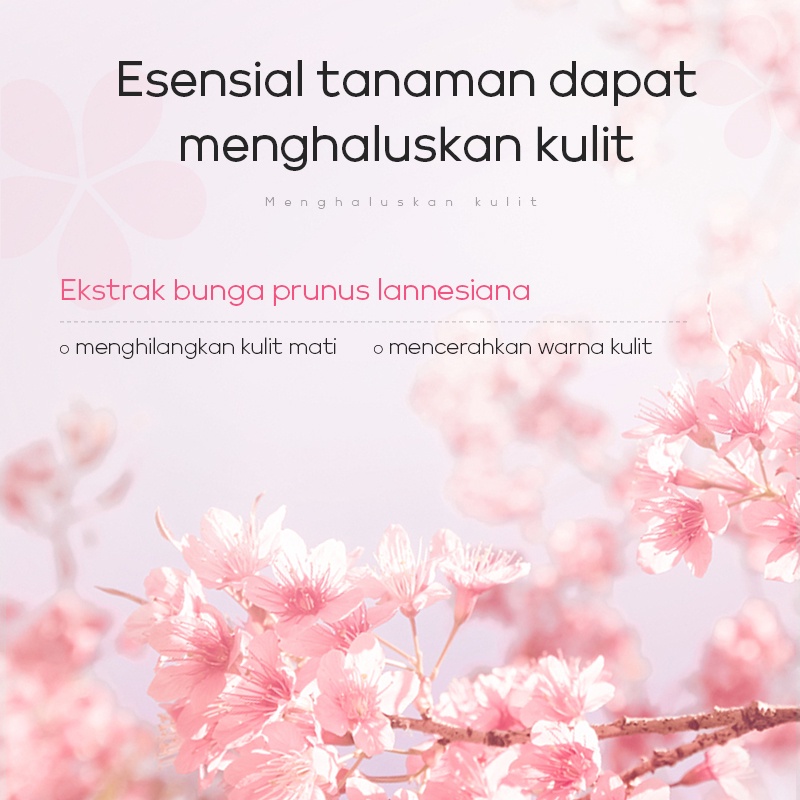 LAIKOU Japan Sakura Peeling Gel Pemutih Eksfoliasi Menghilangkan Kulit Mati 60g