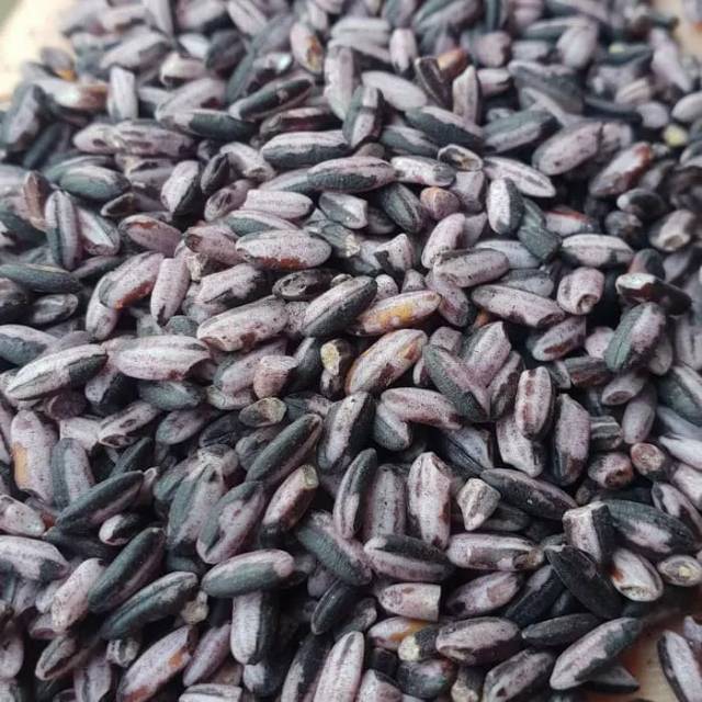 

KETAN HITAM SOSOH/PK SUPER 1 LITER/KG