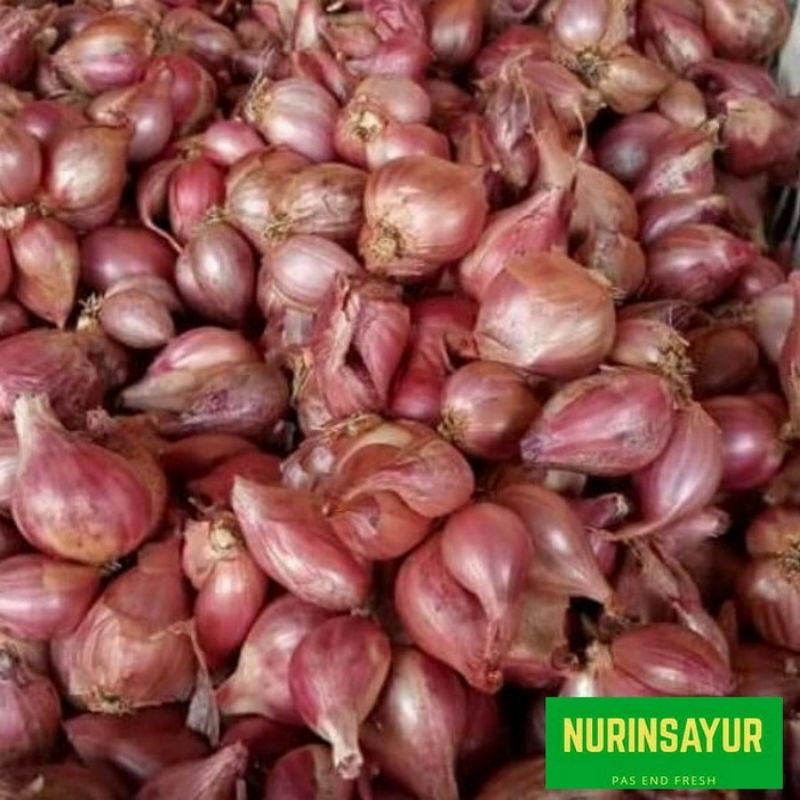 

Bawang merah brebes