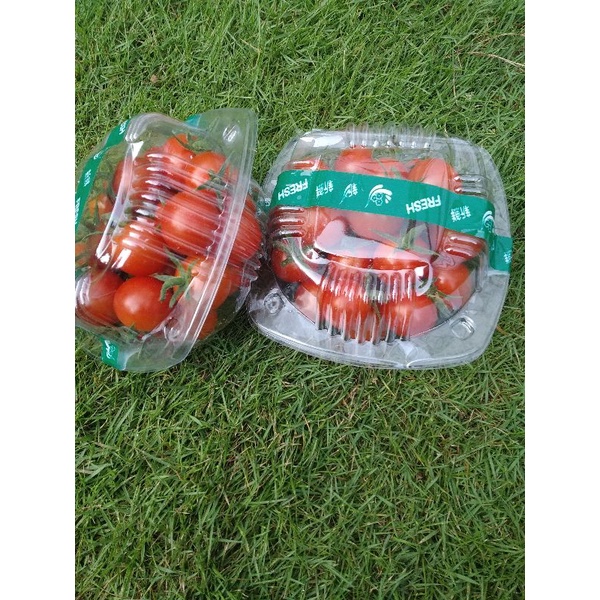 tomat chery fortesa rz manis