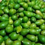 

alpuket mentega
