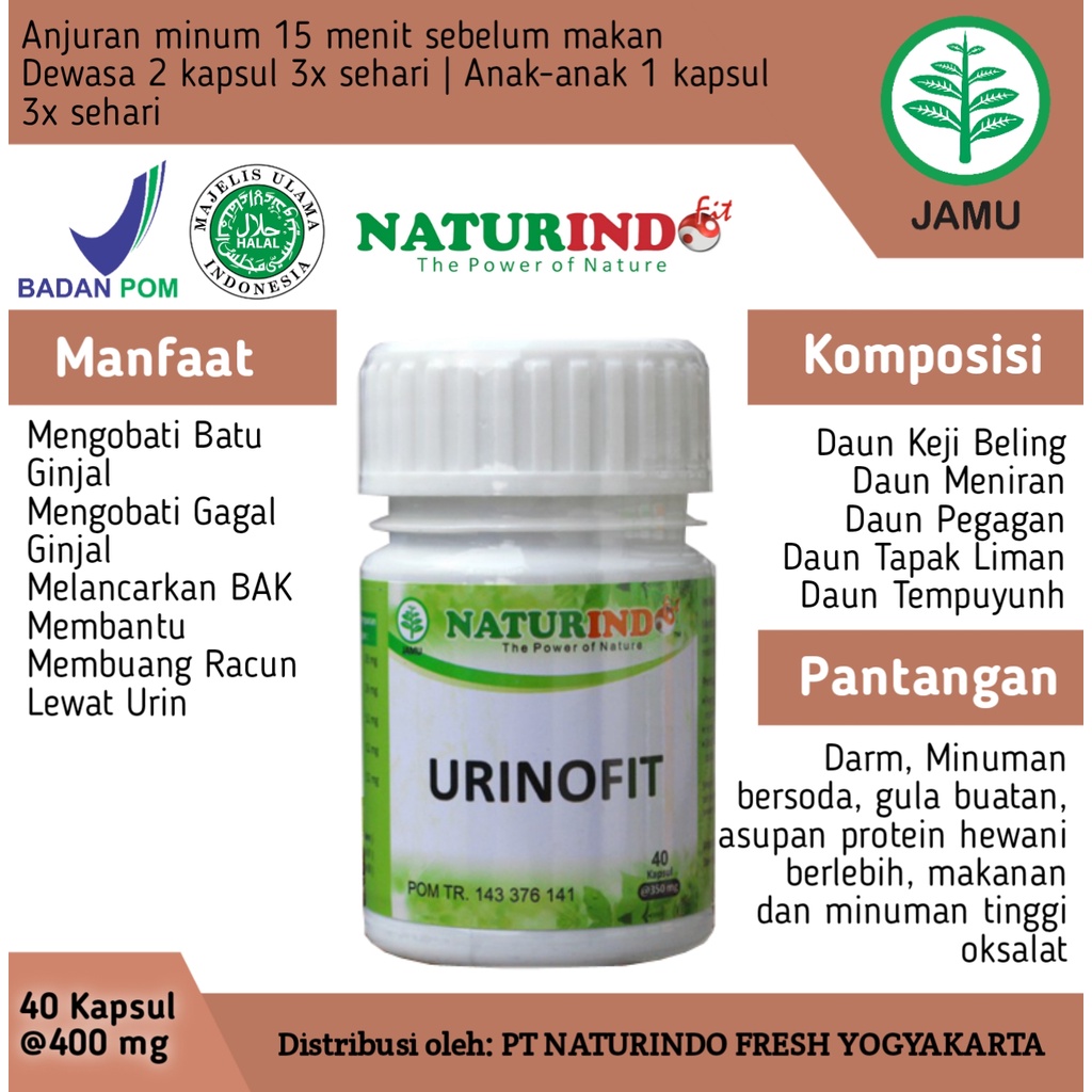 PAKET HERBAL PENGAPURAN TULANG KROPOS, KALSIUM TULANG, TULANG RAPUH, TULANG KUAT NATURINDO-1