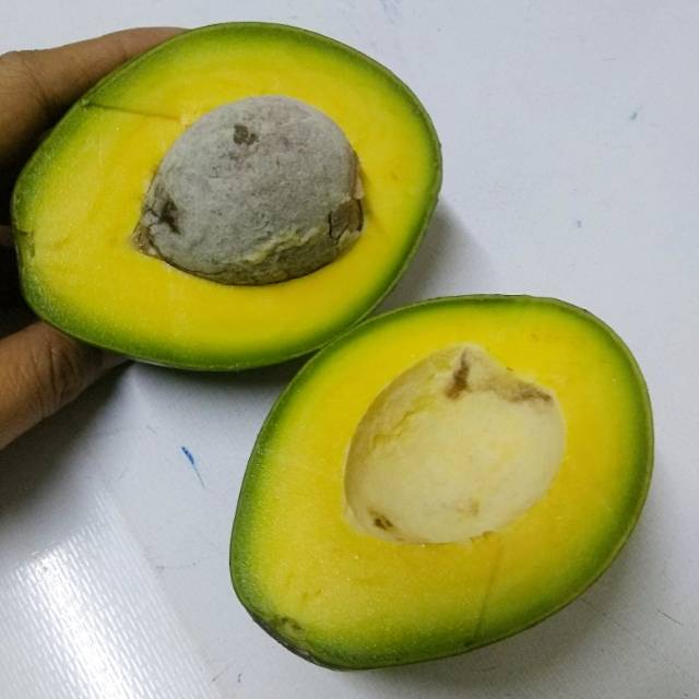 Alpukat Mentega MATANG Buah Utuh | Alpukat Utuh Siap Makan