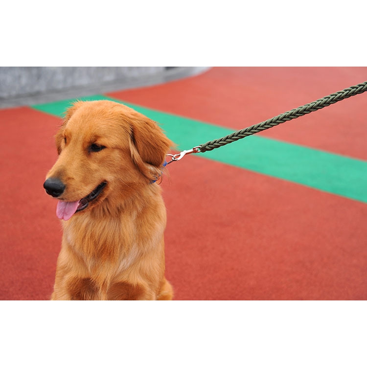 ★〓YUFeiPet〓★ Eight-strand Braided Dog Rope Pet Traction Rope Large Dog Traction Rope