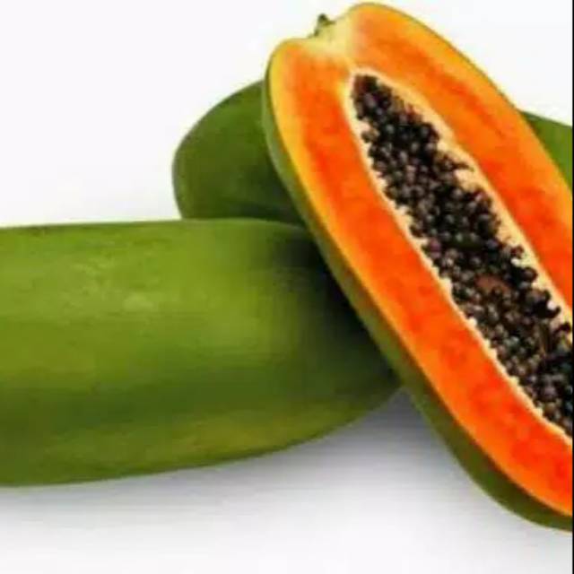 Bibit pepaya california super F1