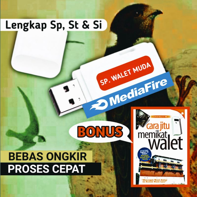 Paket Suara Walet Musim Anakan, Lengkap Sp, Si & St / Suara Panggil Sedot Walet Musim Anakan