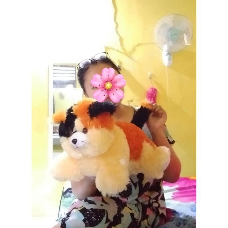 BONEKA KUCING 35 CM / BONEKA KUCING RCTI TERMURAH TERLARIS / BONEKA CAT MURAH