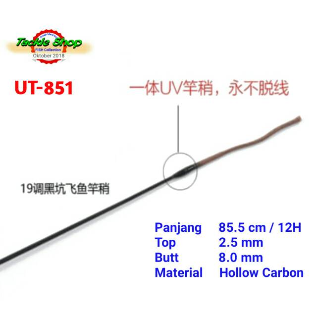Ujung Tegek 12H Hollow Carbon 85 cm Import      UT-851