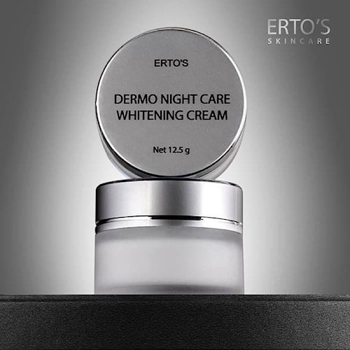 Krim Malam Wajah Erto's Dermo Night Care Whitening Cream ERTOS Original Flek Hitam