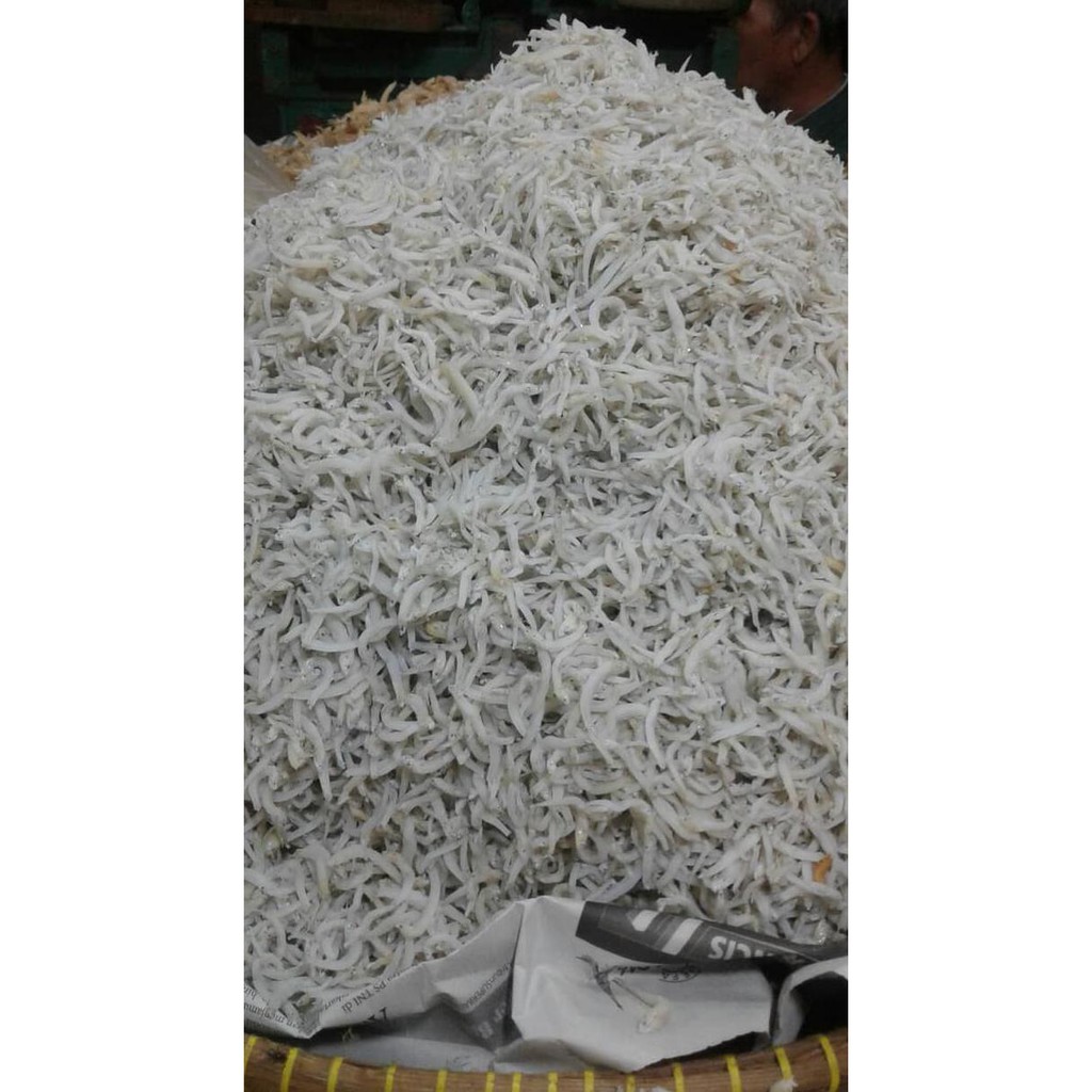 

discount ikan teri medan (kode 002))
