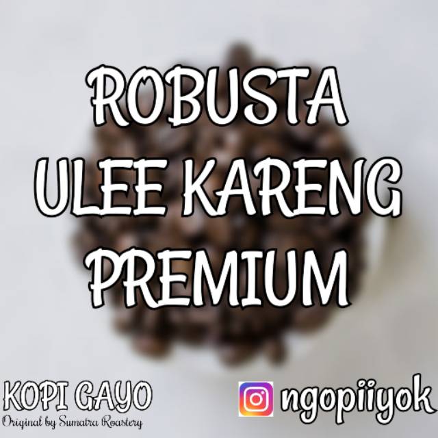 

Robusta Ulee Kareng Premium 500gr