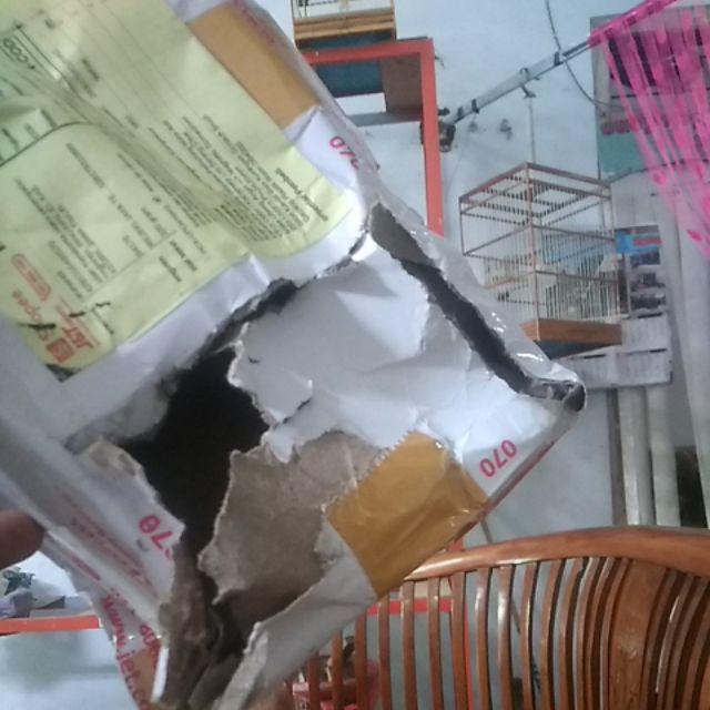 Sikat Kawat Baja Kuningan Scratch Brush Gagang Plastik Bison D84000