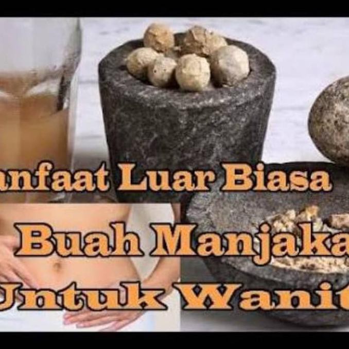 

-Sale-Terbaik-Terlaris- Buah Manjakani Alami/Biji Majakani/Dherb Pure Tepung 100 Gr