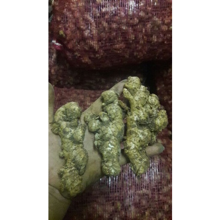 

Jahe Emprit 1kg