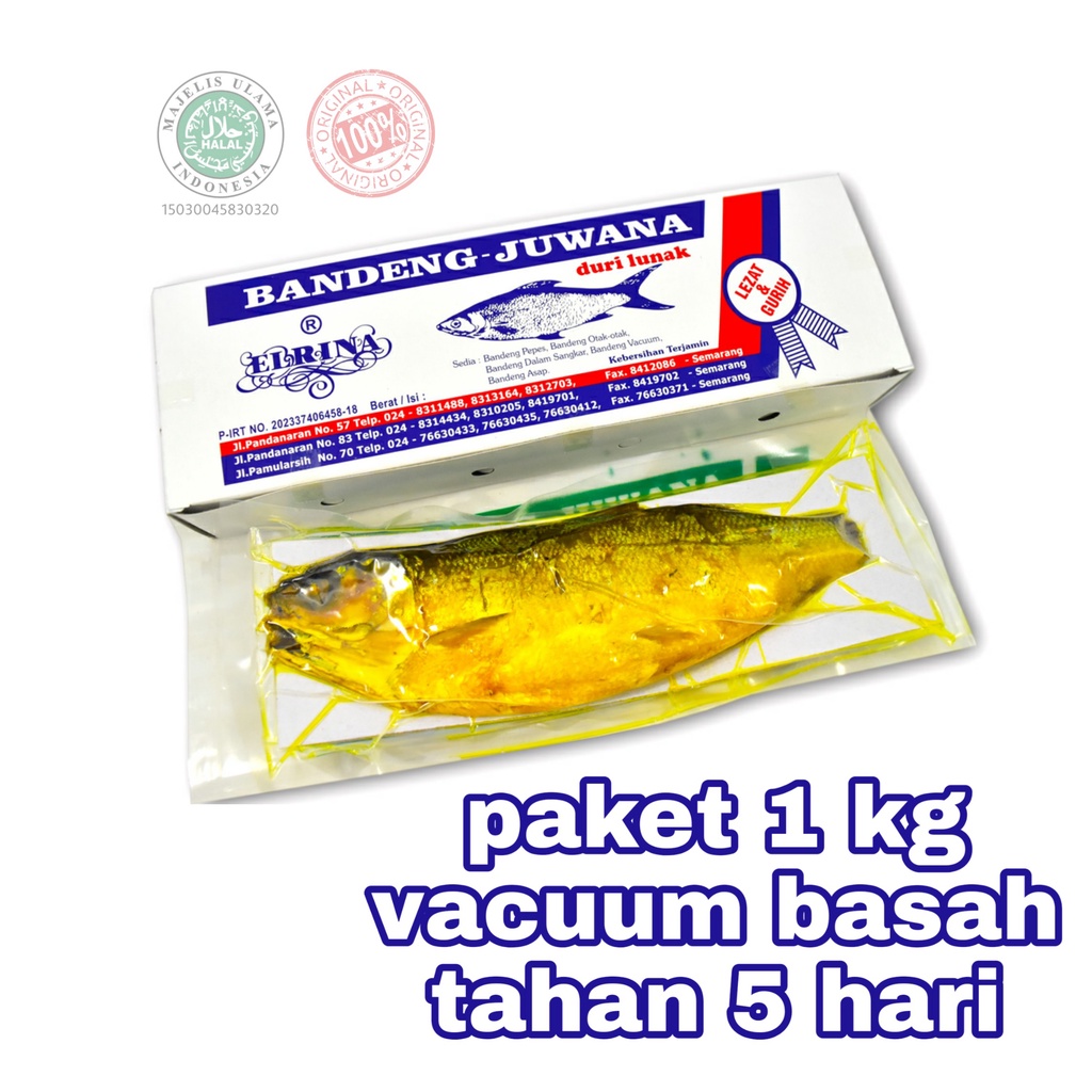 

Bandeng Presto Duri Lunak Vacum Vacuum Basah Juwana Elrina Semarang Paket 1 kg