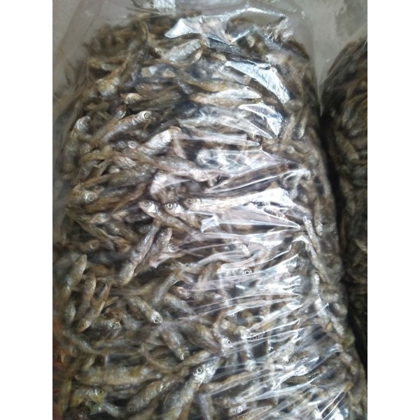 

DRESSANGGUN DRESSKEKINIAN DRESPALINGLAKU DRESPALINGLARIS DRESBISABUATBUSUI DRESYANGLAGIVIRAL DRESMASAKINI DRESPALINGTOP DRESPALINGADEM DRESPALINGMODIF PROMOIKANBILIHPERKILONYA 160.000
