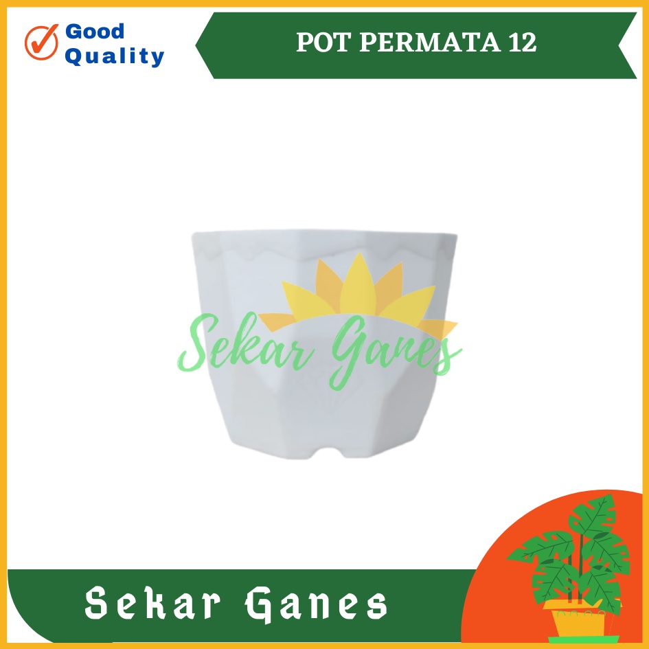 Pot Permata 12 Putih Da 10.5cm Garden Of Love Pot Kaktus Sukulen Mini Murah Bkn Pot Tawon 10 12