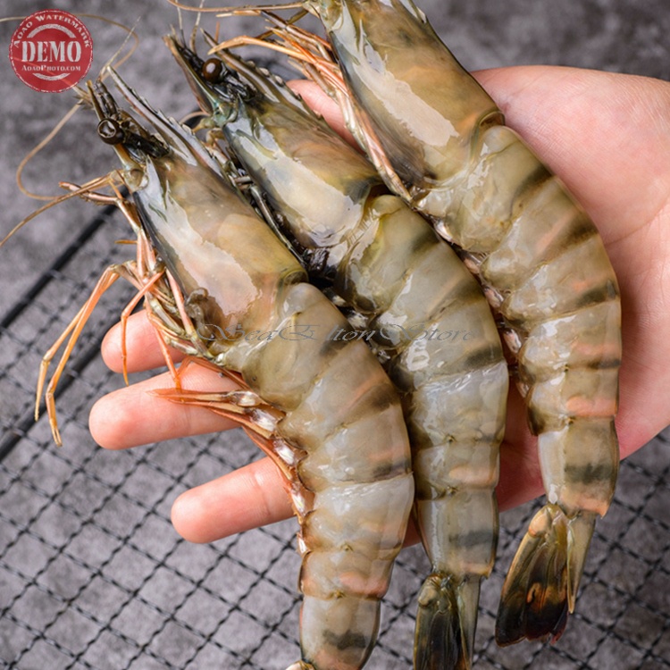 

Udang Segar Jumbo Udang Tiger Besar / Size 10-15 /1Kg