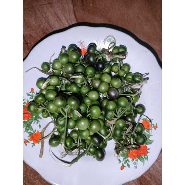 

lenca segar buat lalapan mantap per 1 kg