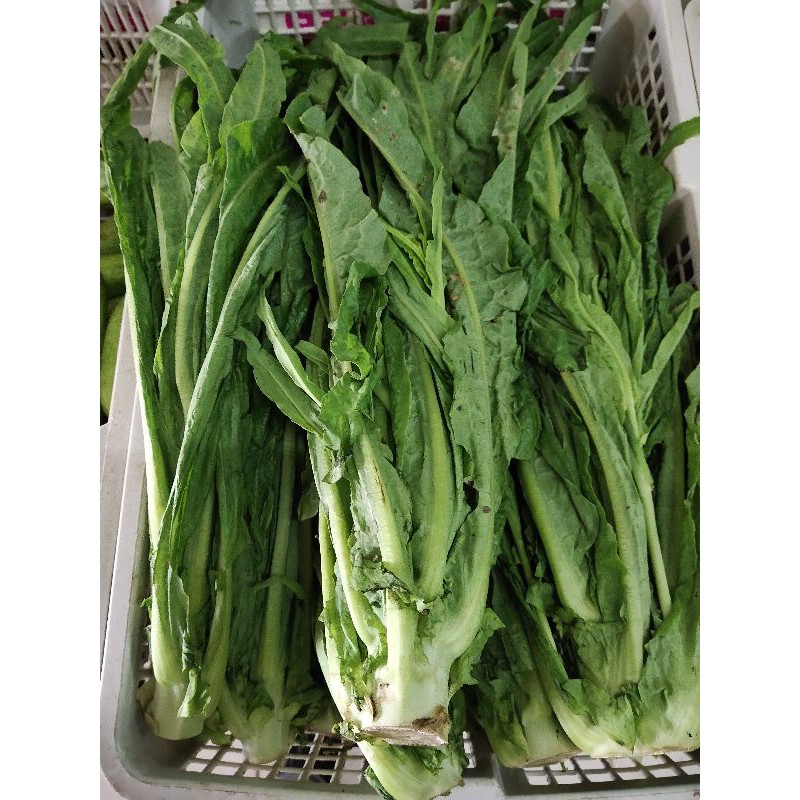 

Sayur Siomak lokal 500gr