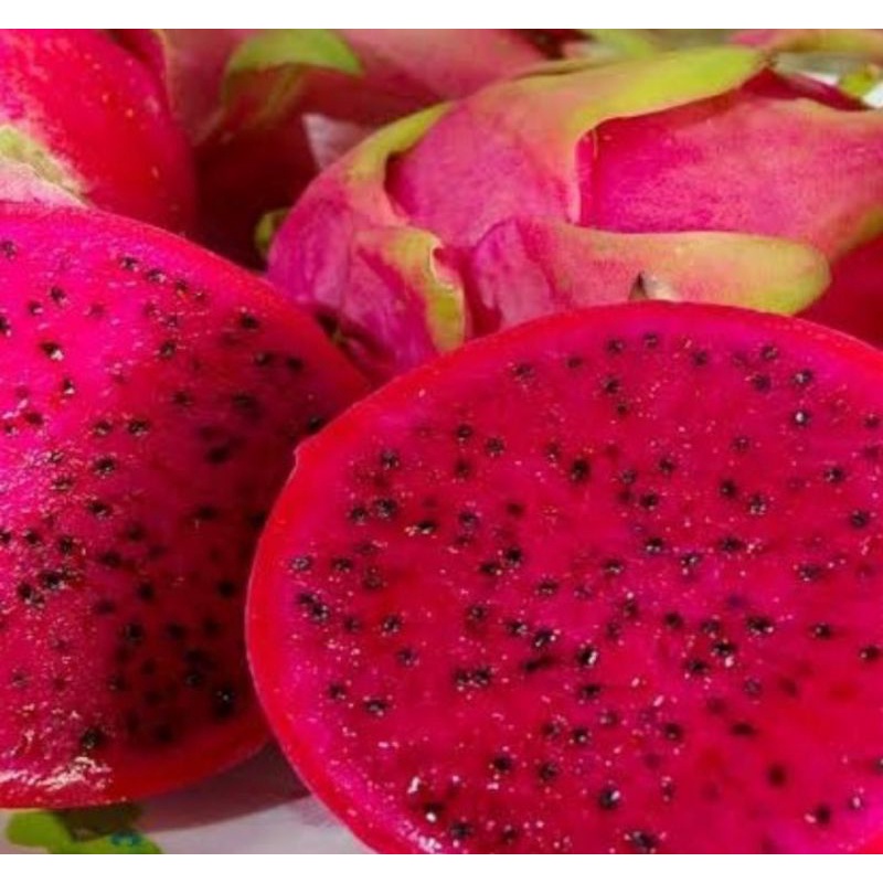 

NAGA MERAH/Dragon Red fruit perkilo