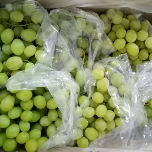 

Anggur Prime Afrika 4kg