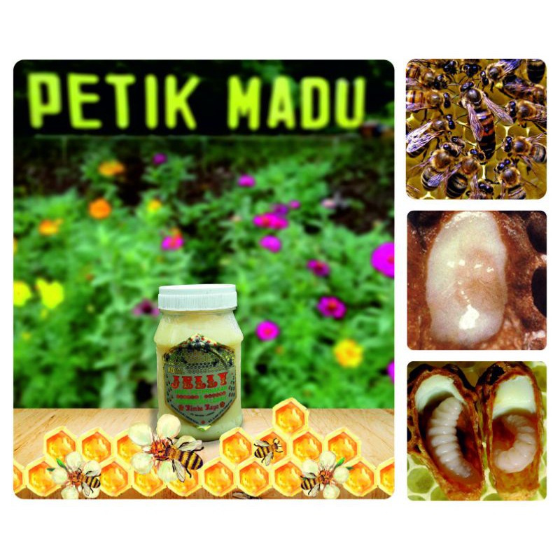 

Royal Jelly Murni pure royal jelly tanpa campuran free sterofoam 250/100/50gram kemasan toples plastik