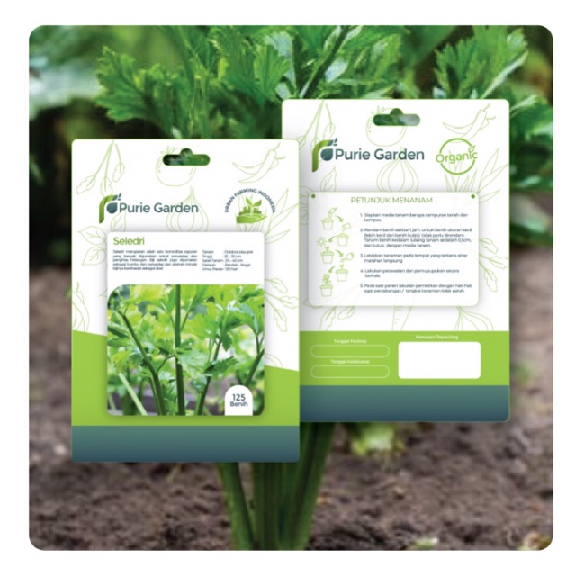 Hidroponik Benih Seledri 125 pcs