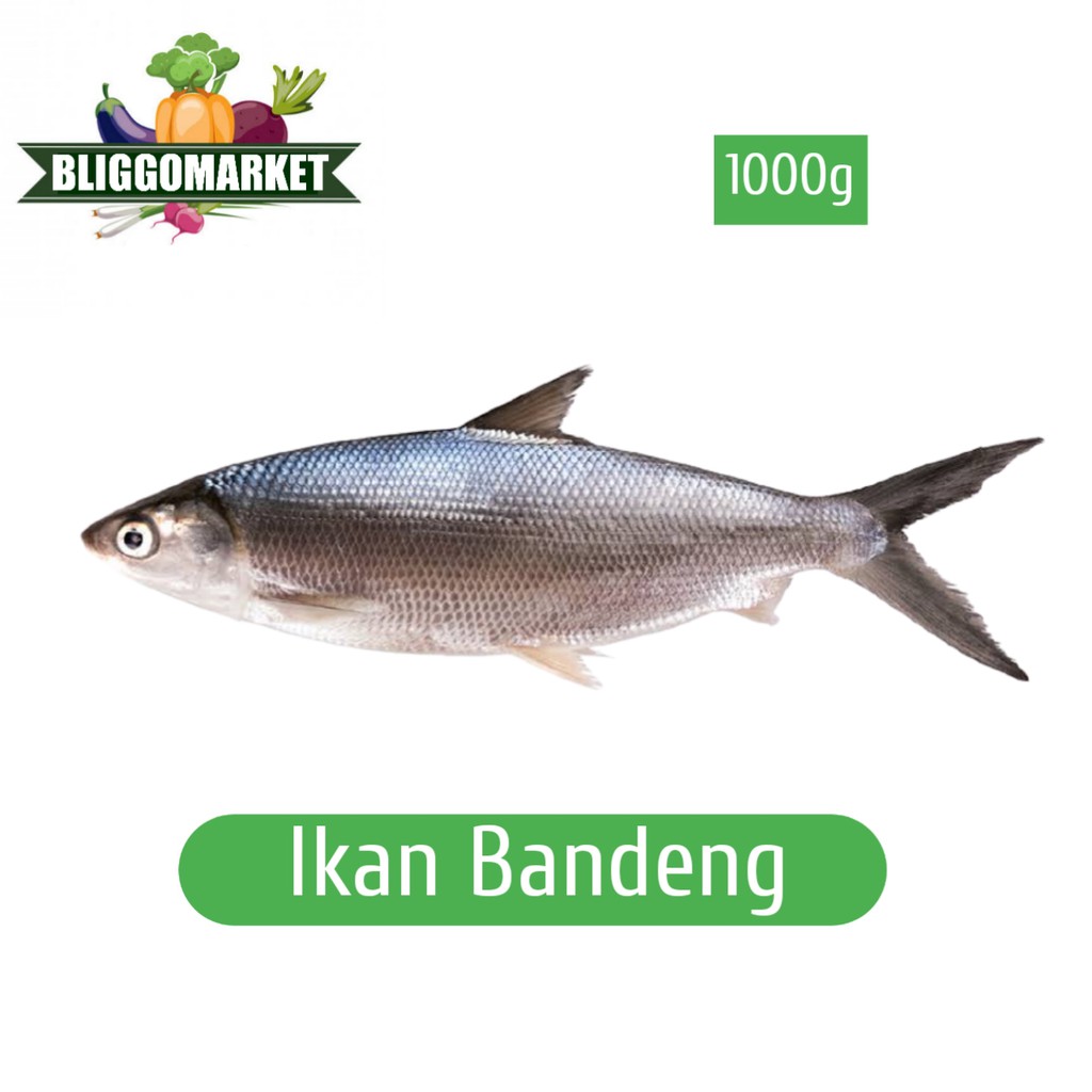 

Ikan Bandeng -/+ 1000gr 4/5Ekor (Bliggomarket)