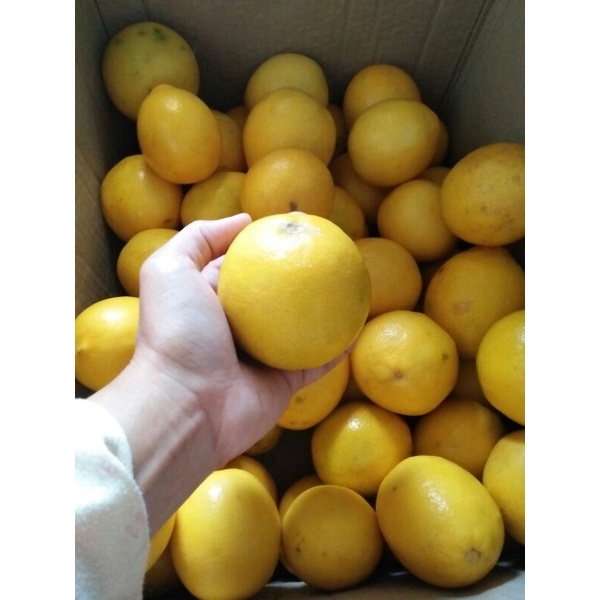 

Fresh Lemon