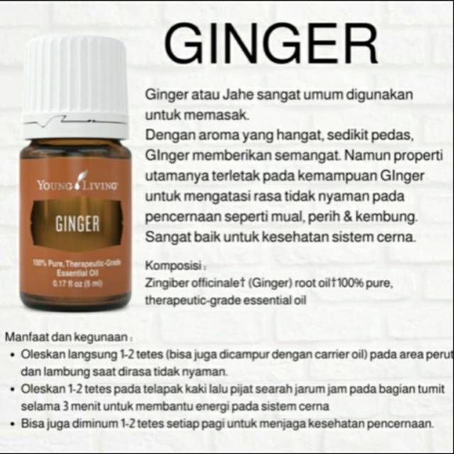 YL Essential Oil - Ginger 5ml