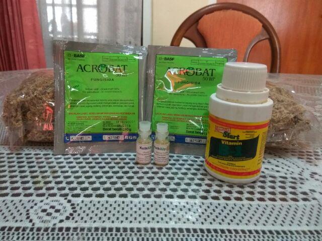  vitamin bunga anggrek  buah dll Shopee Indonesia