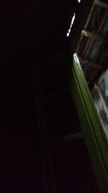 Benih Sayur Sawi Pagoda Ta Ke Cai 5gr