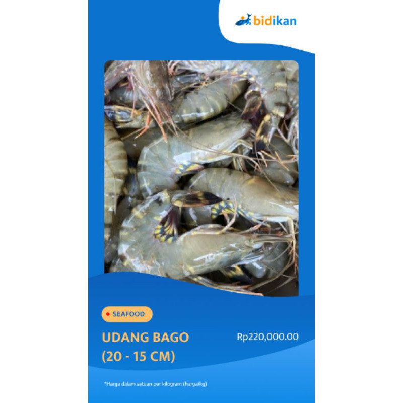 

Udang